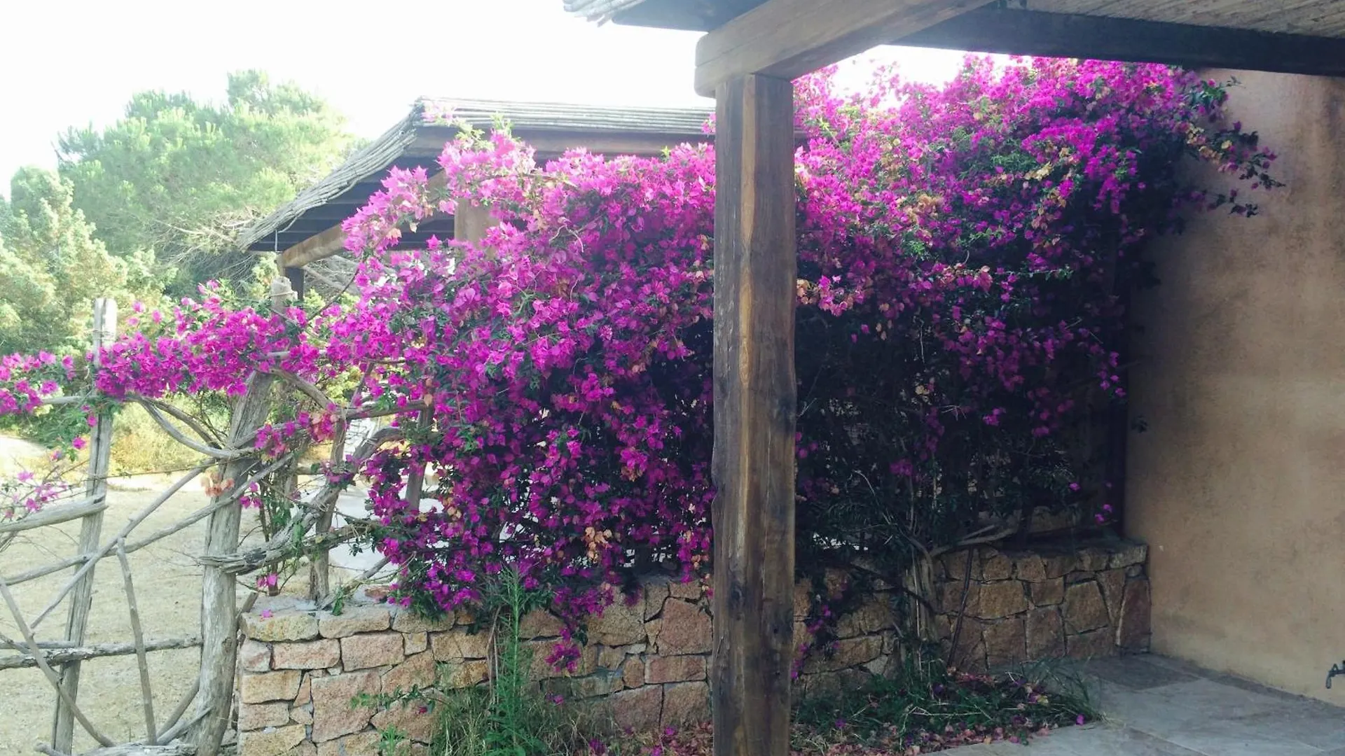 Villa Baia Santa Reparata Santa Teresa Gallura Holiday home